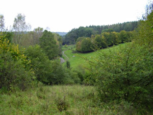 Tarninowe Wzgórze